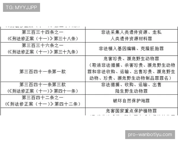 比赛时长规则详解：裁判如何确定加时和补时长度